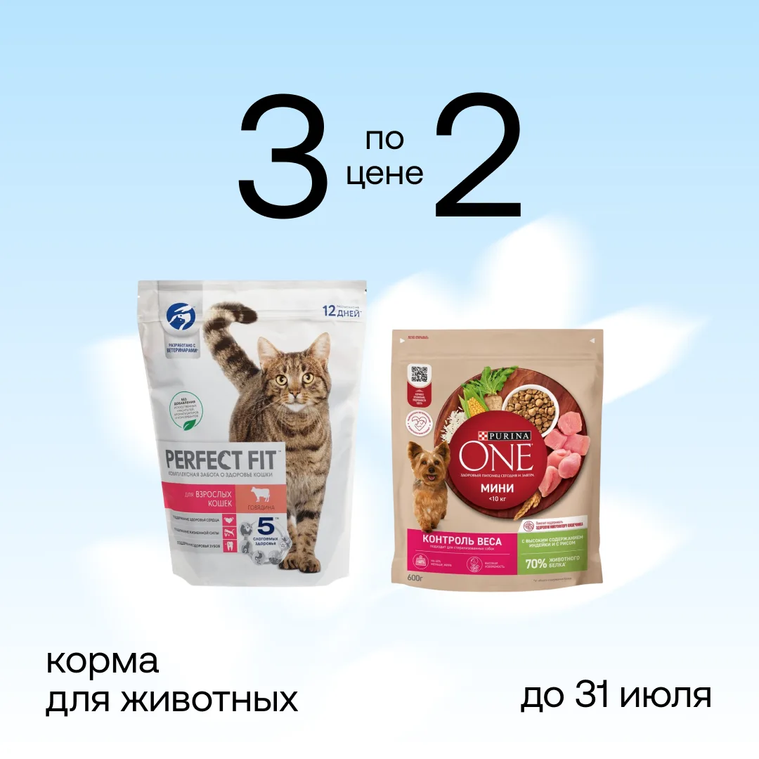 Кто сказал «мяу»? 🐾