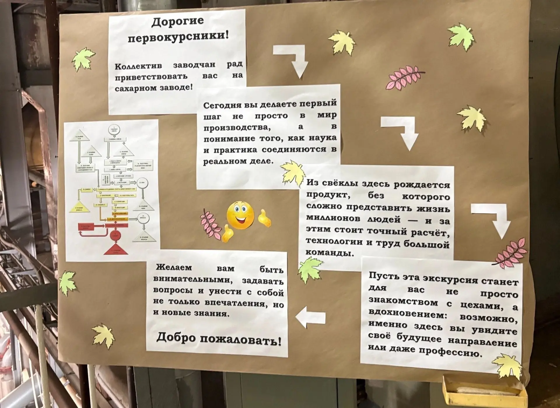 🍬 Как производят сахар смогли увидеть первокурсники ВГУИТ