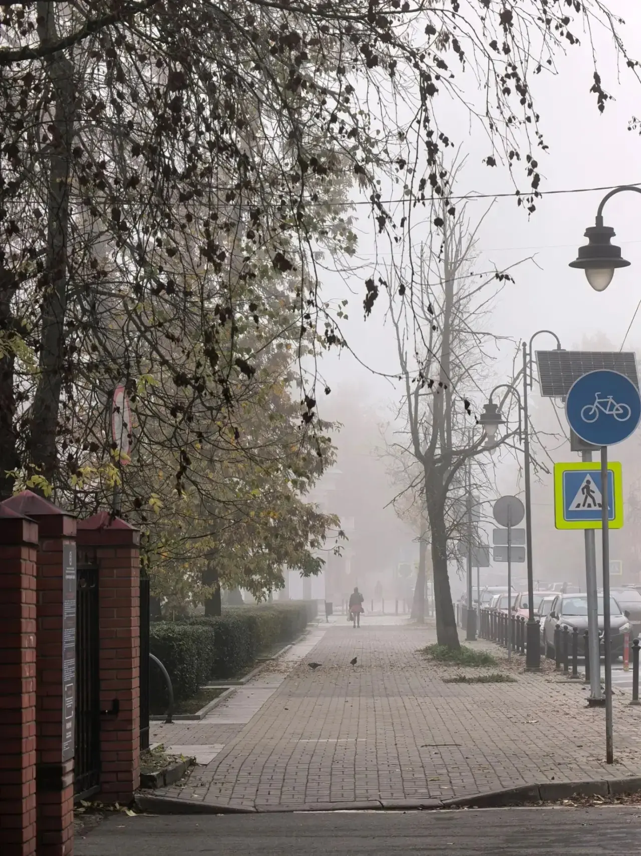 🌫️ Есть версия, что в тумане Псков становится порталом во что-то волшебное. Не проверя...