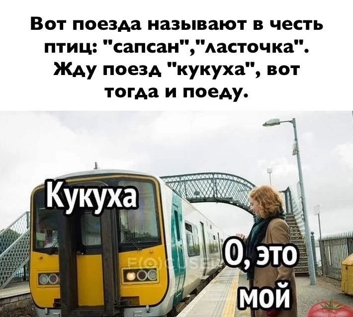 Ведьмин котелок 🧙 Подписаться
