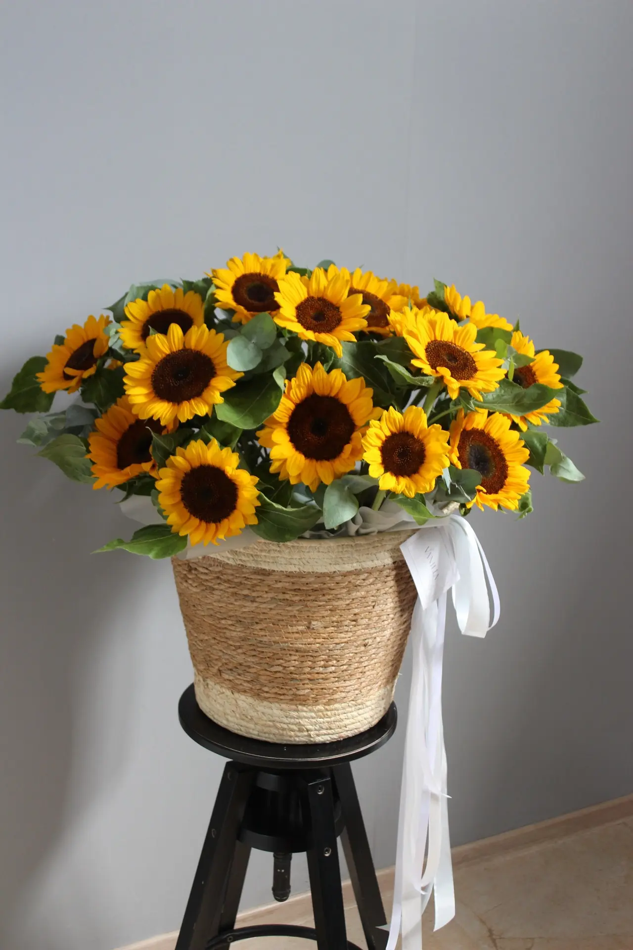Яркие подсолнухи 🌻