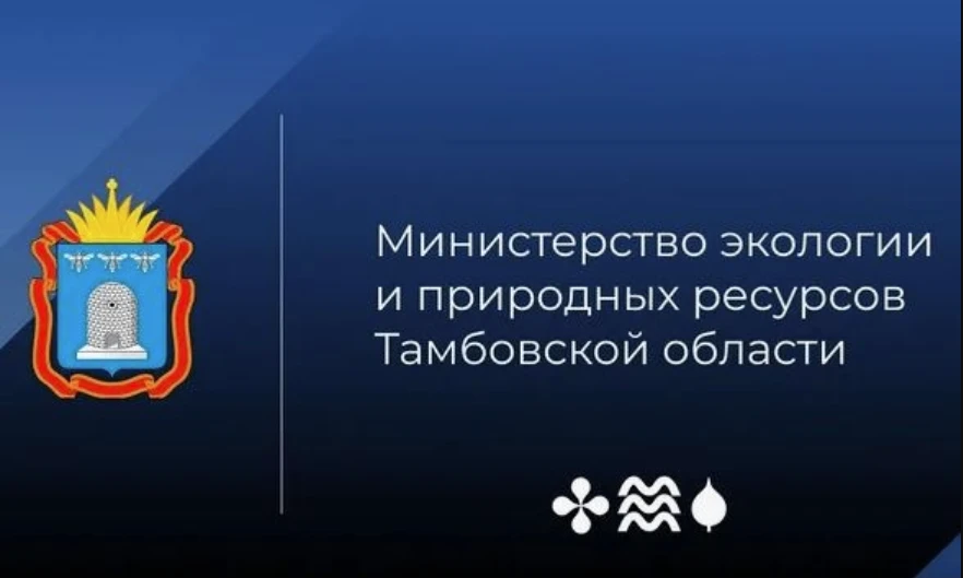 Начался прием заявлений на выдачу разрешений на добычу пушных животных в осенне-зимний ...