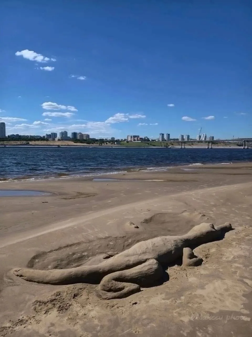 ⚡️Виталий из Волгограда сфотографировал редкий вид волжского крокодила на берегу Волги!

📍 Волгогра