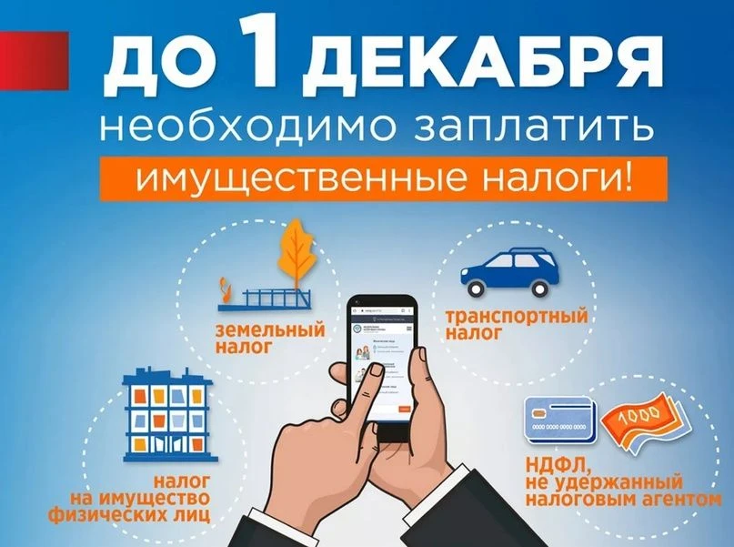 В 2026 году уплатить имущественные налоги за 2025 год необходимо не позднее 1 декабря 2...