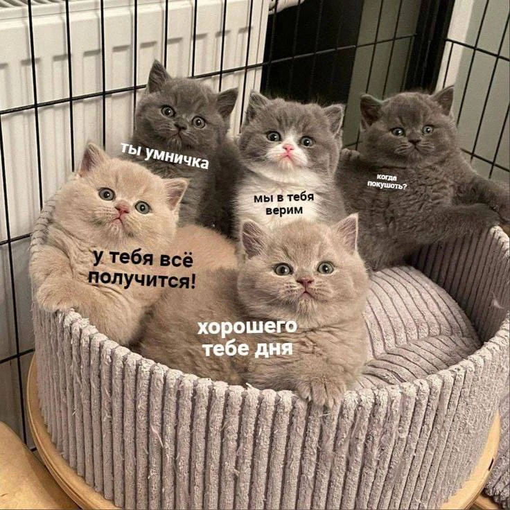 Всем хорошего дня🫶