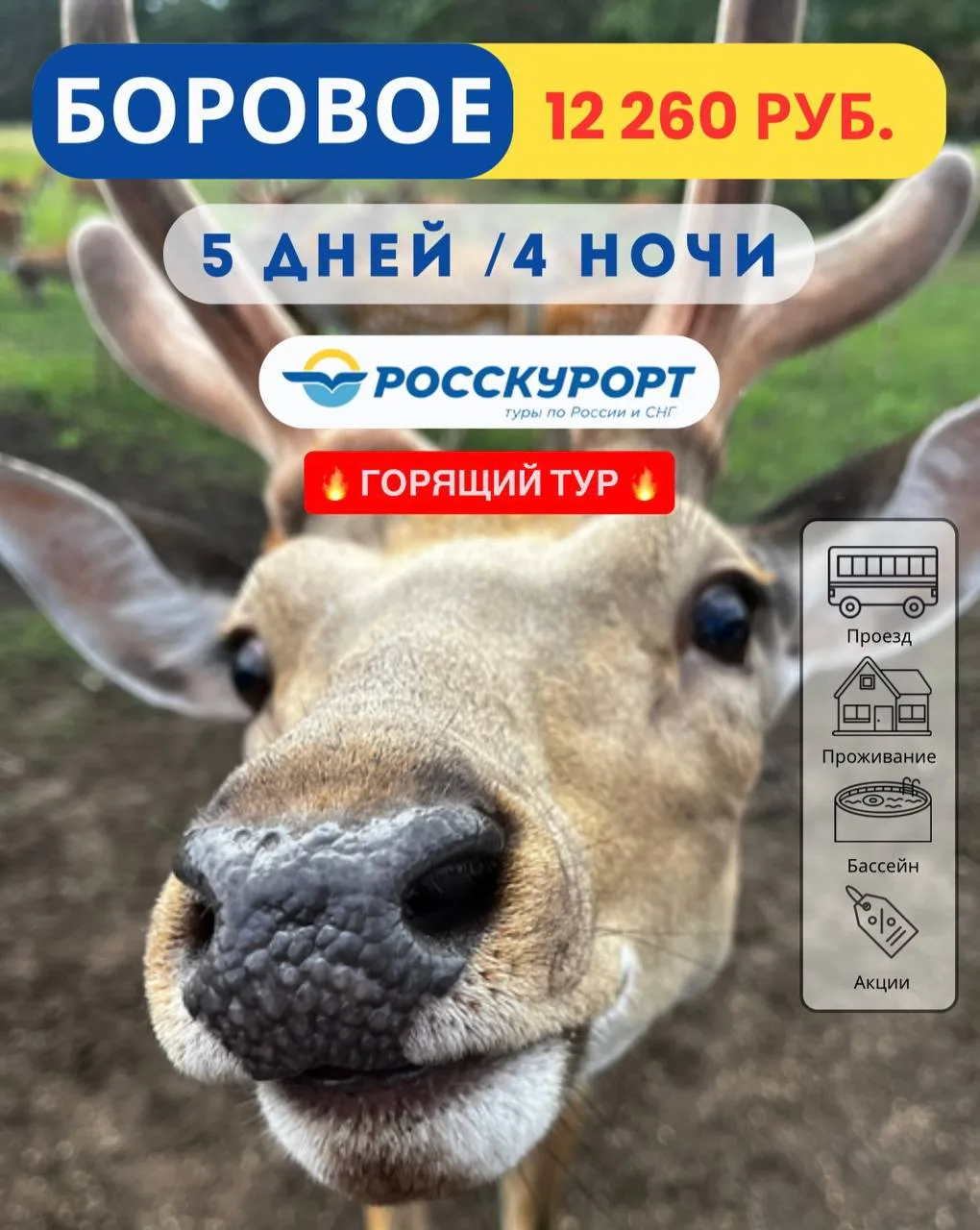 🔥 Горящий тур в #Боровое всего за 12 260 руб/чел! 🔥   Успевайте забронировать, осталось всего нескол