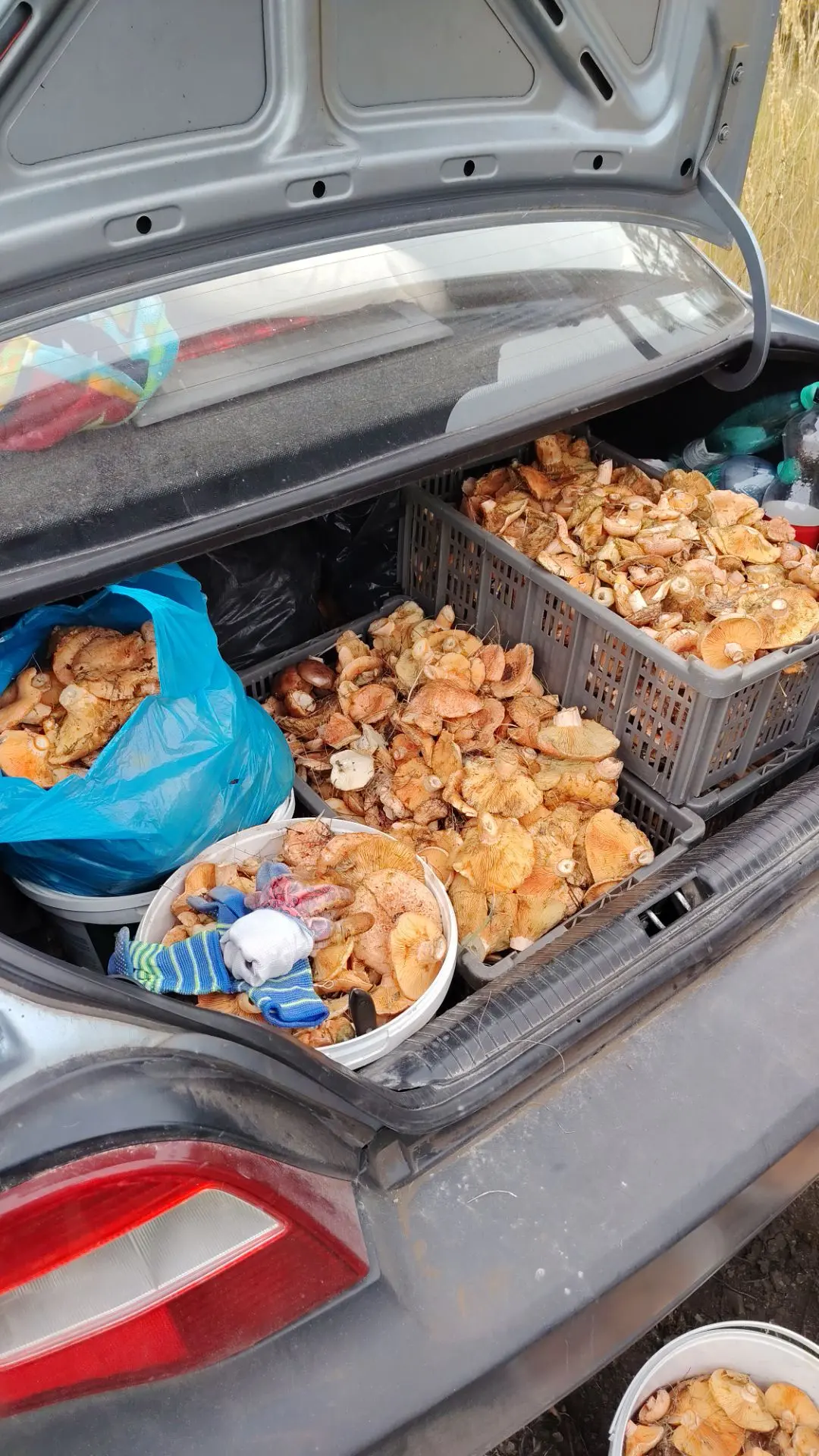 Вольский район
