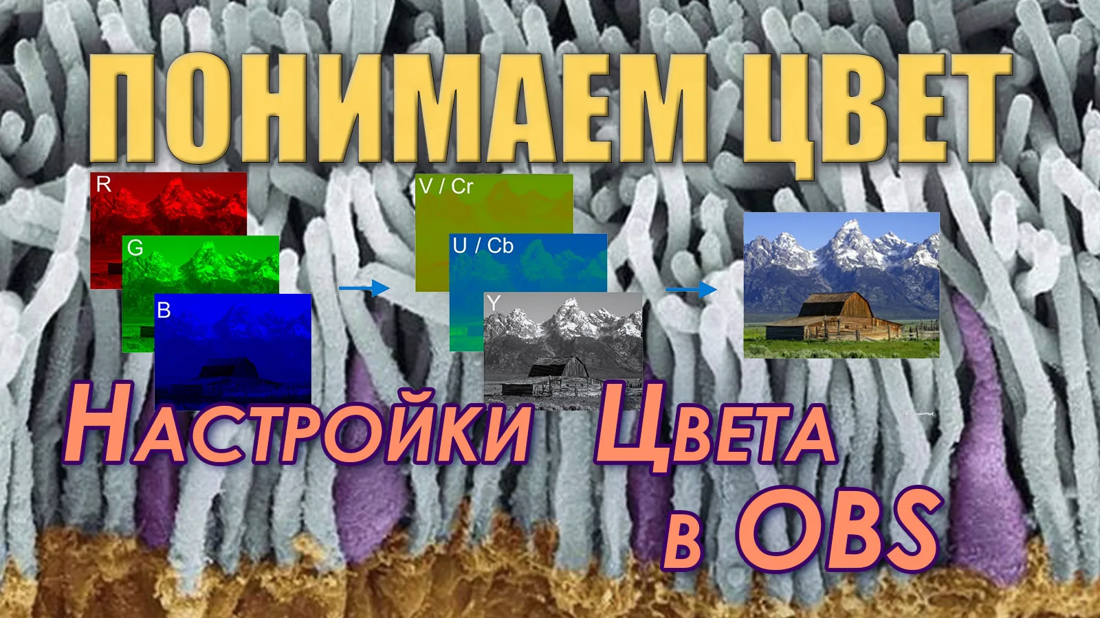 🔴 В описании карт ВидеоЗахвата встречаются обозначения RGB, YUY2, NV12 и магические цы...