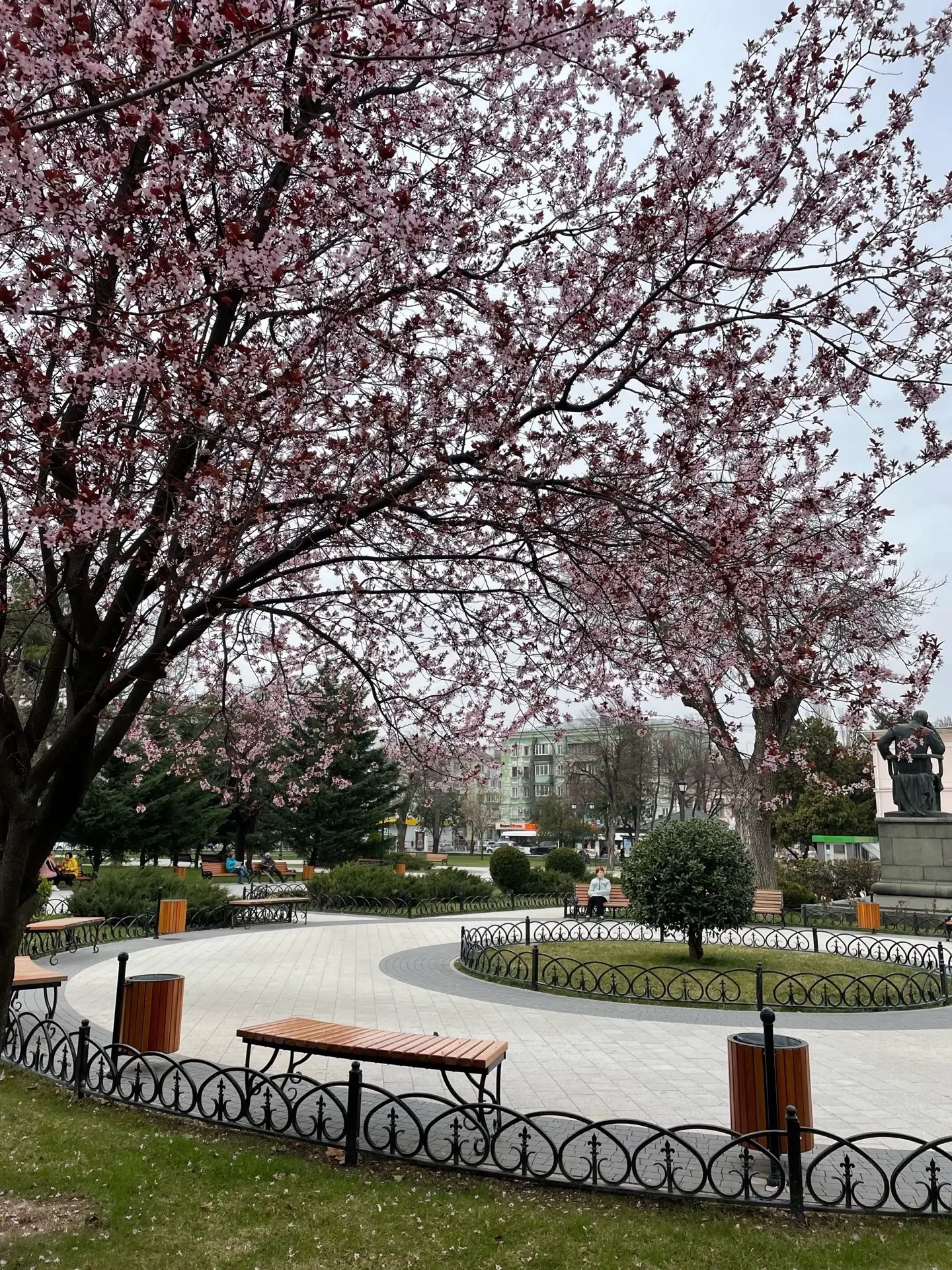 🌸 Бугунь къадынлар арасында достлукънынъ куню къайд этиле