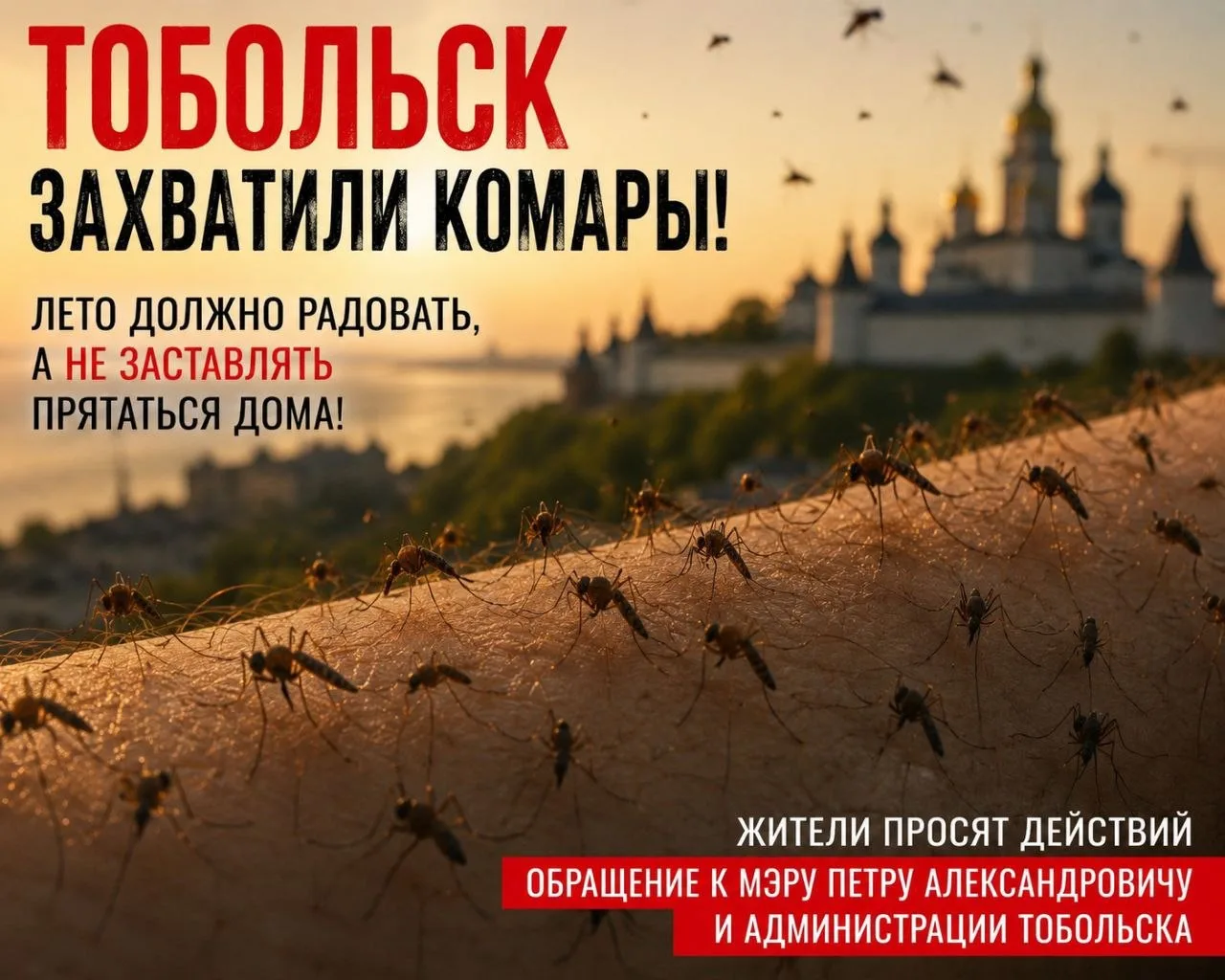 Уважаемый Пётр Александрович, уважаемая администрация города Тобольска!

Обращаюсь не только от свое