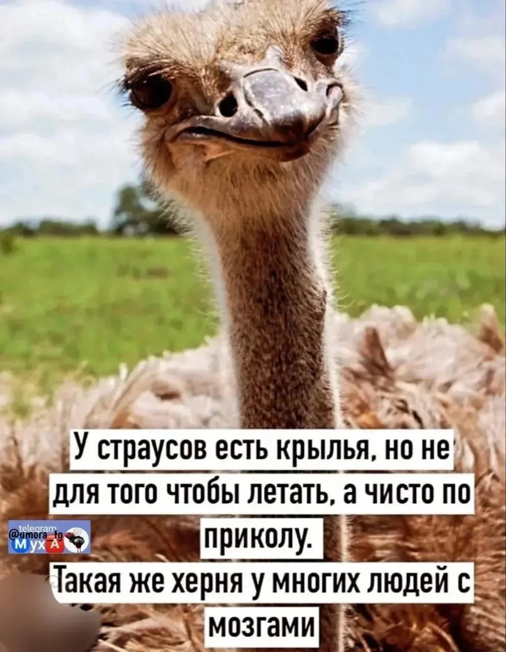🥳 Веселья ЧАС - Присоединяйтесь