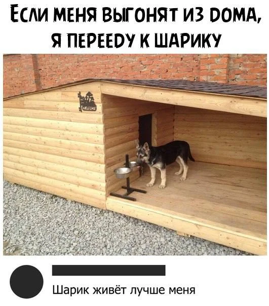 😂😂😂