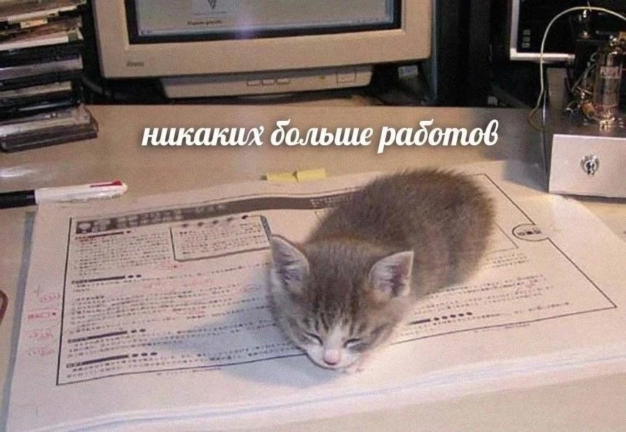 Как в Уфе отметят День Республики
