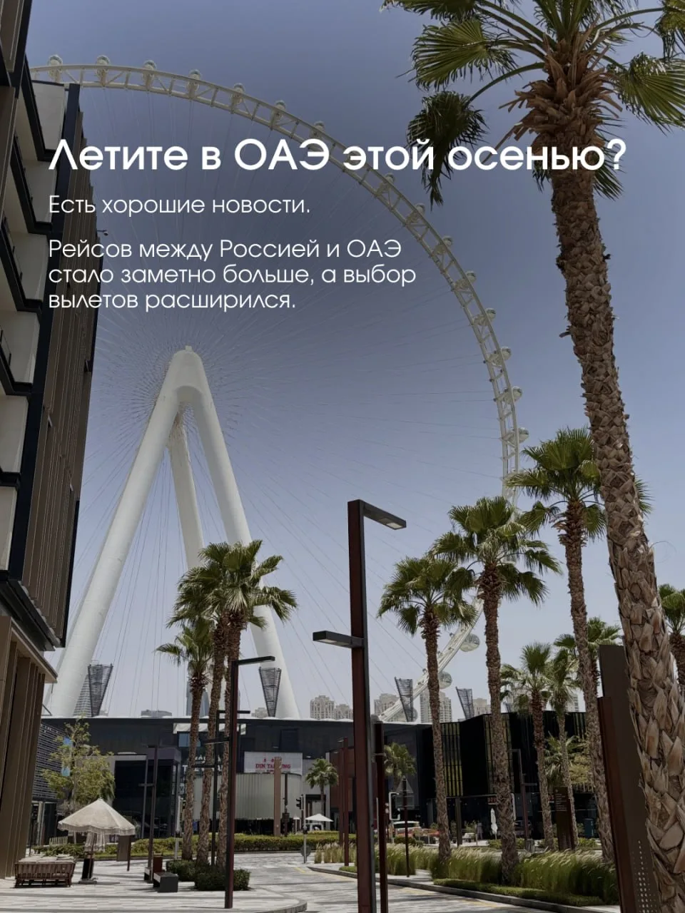 Собираетесь в ОАЭ этой осенью? Есть хорошие новости 🛫🇦🇪
