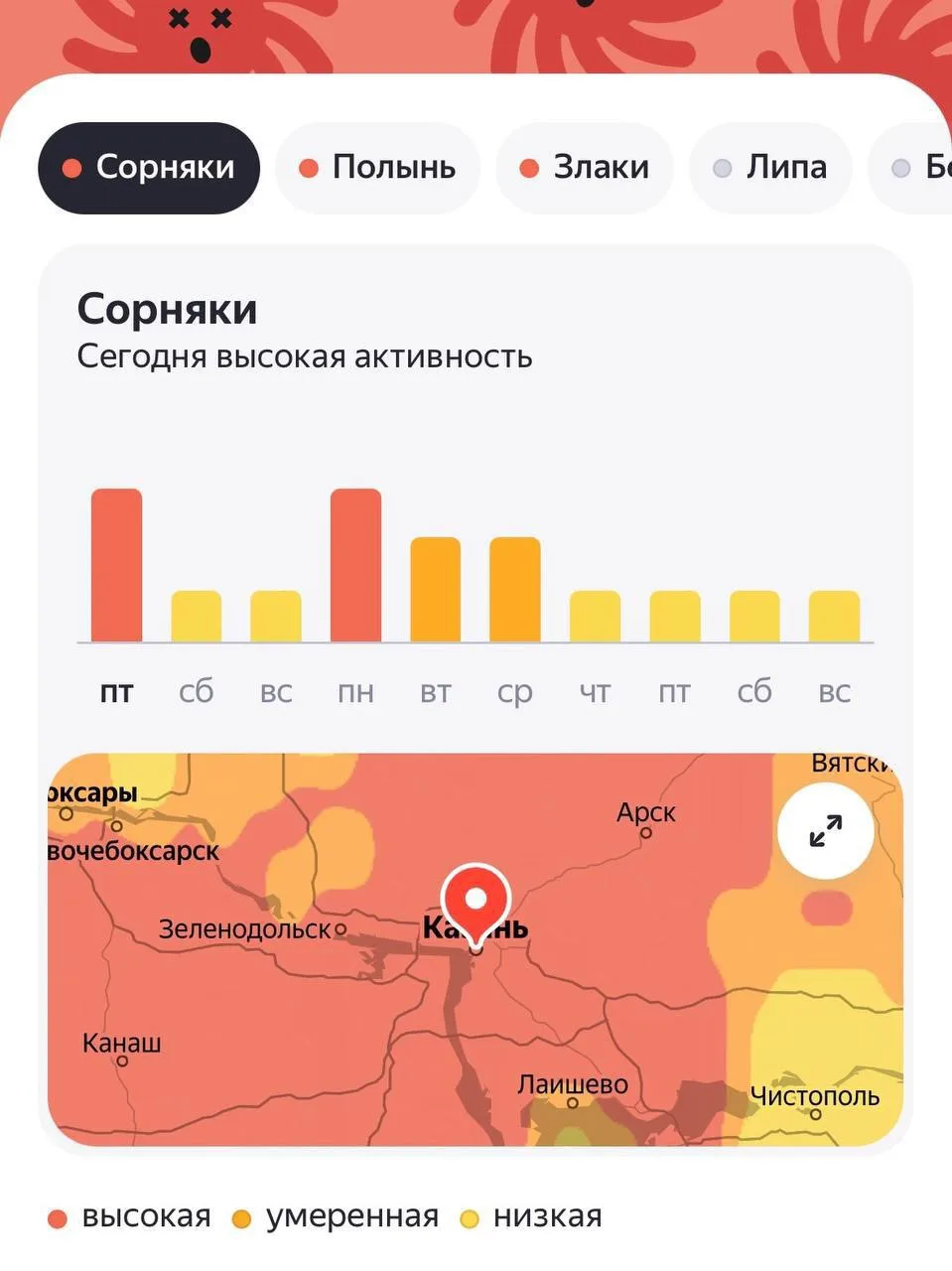 Сегодня в Казани высокая концентрация пыльцы 

Это связано с цветением сорняков, полыни и злаков. Ак