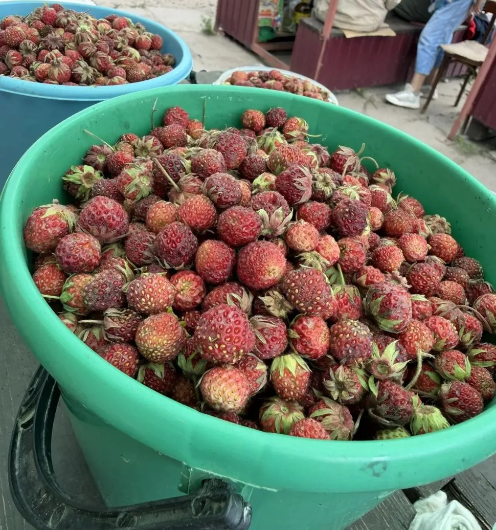 🍓Продам лесную землянику 🍓 Вкусная, спелая, крупная. 🍓