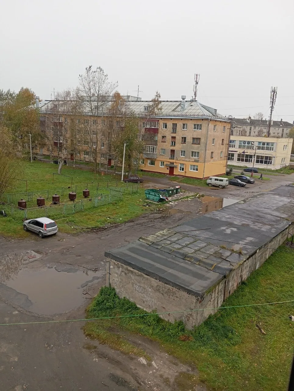 ⚡ Жалоба на антисанитарию во дворе