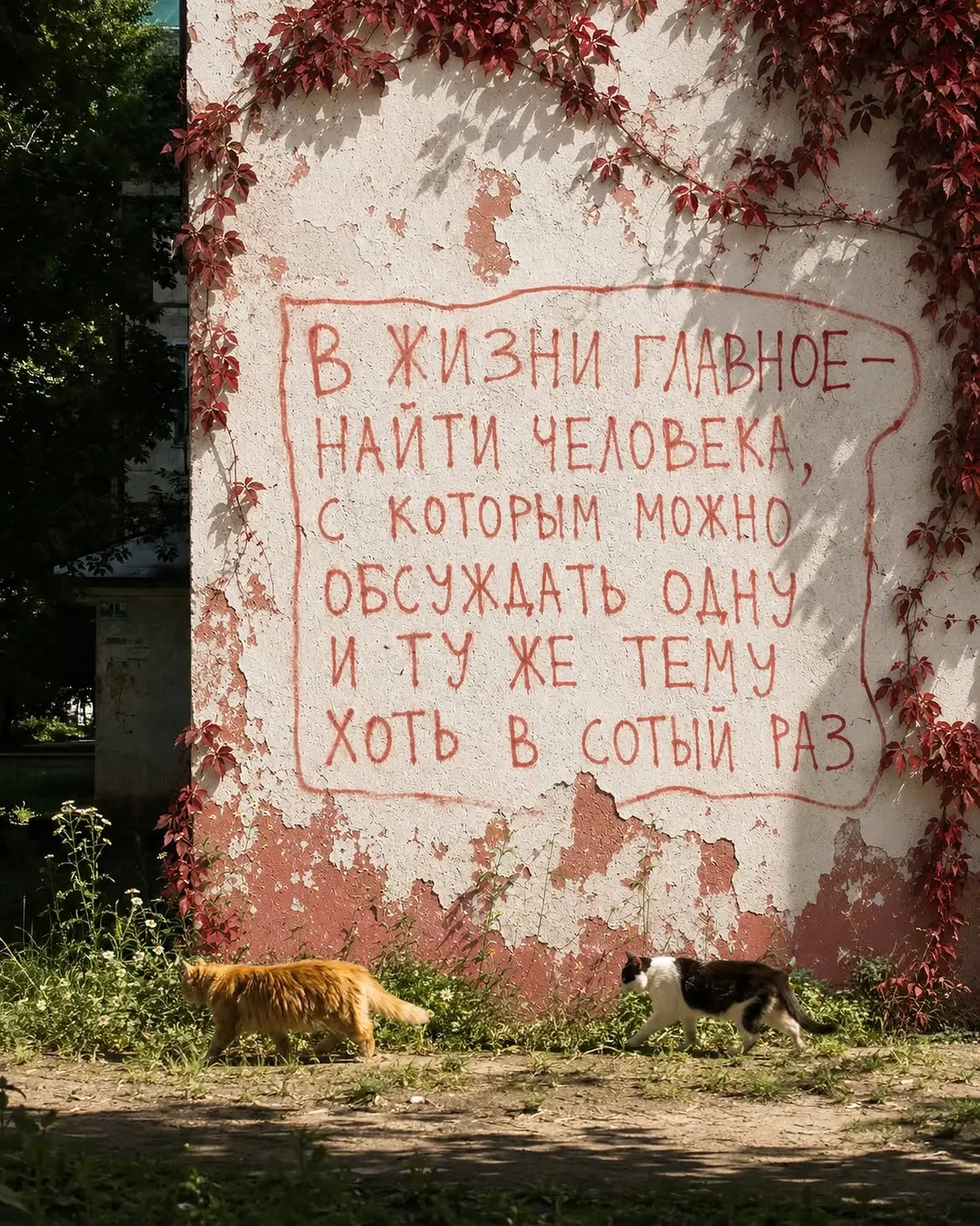 #кафеверлибр