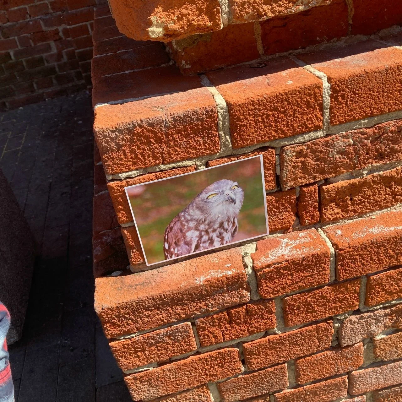 Сгоняли на июльский LocalCeramicsFest