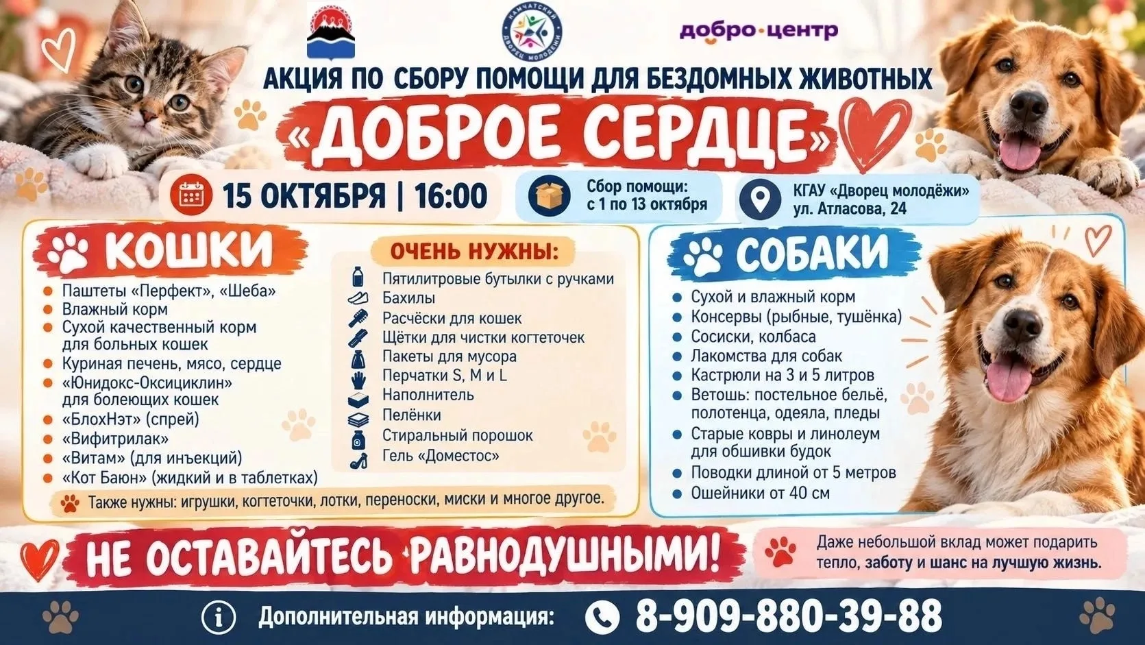 Добро.Центр Камчатского Дворца молодежи объявляет сбор помощи для бездомных животных!
