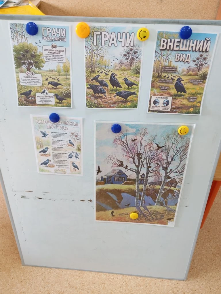 Кара каргалар көне 🐦‍⬛🐦‍⬛ел саен 17 мартта билгеләп үтелә. Бакчабызда кара каргалар к...