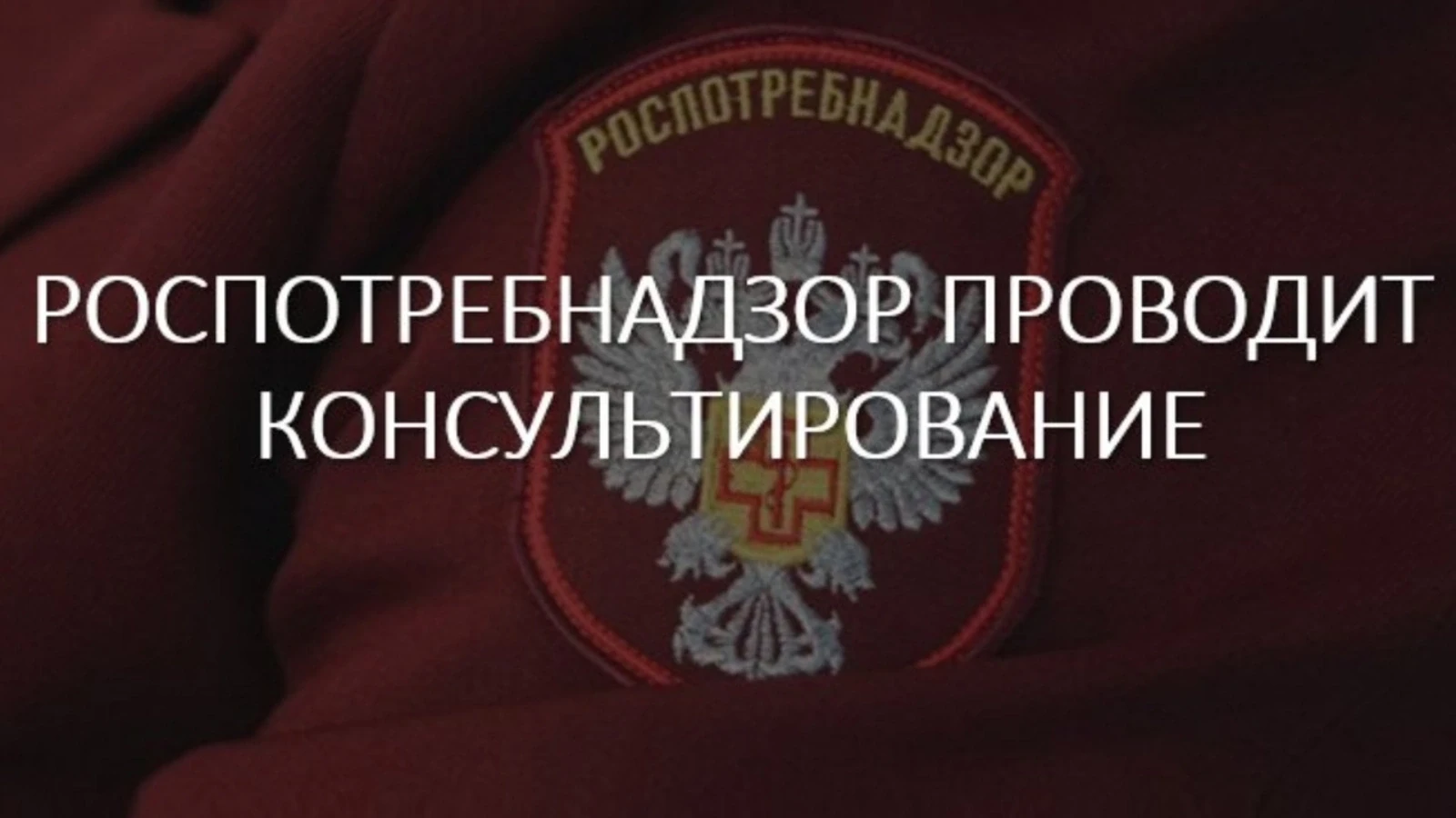 С 10 августа по 21 августа 2026 года