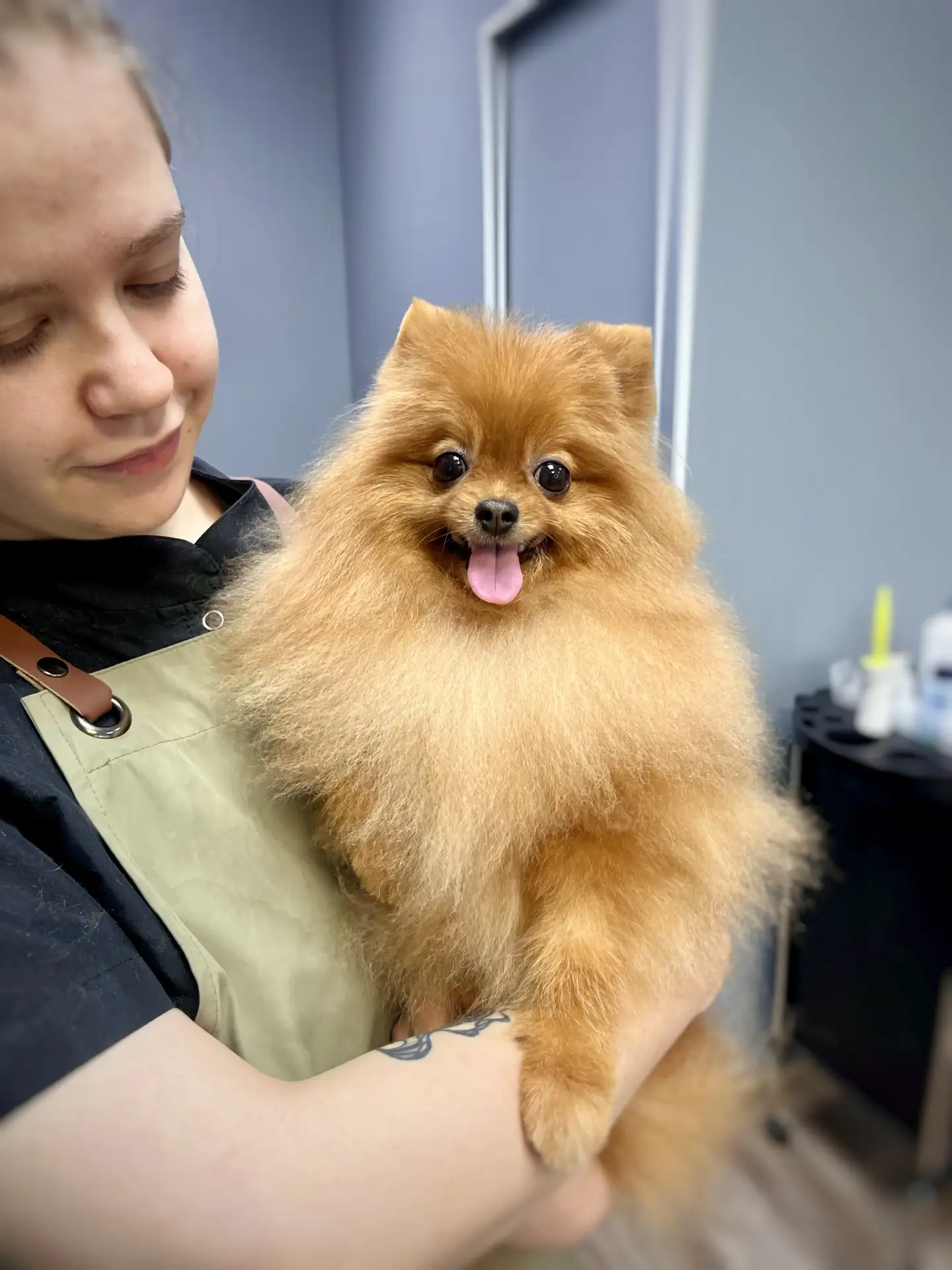 Об уходе за шерстью между визитами🐾