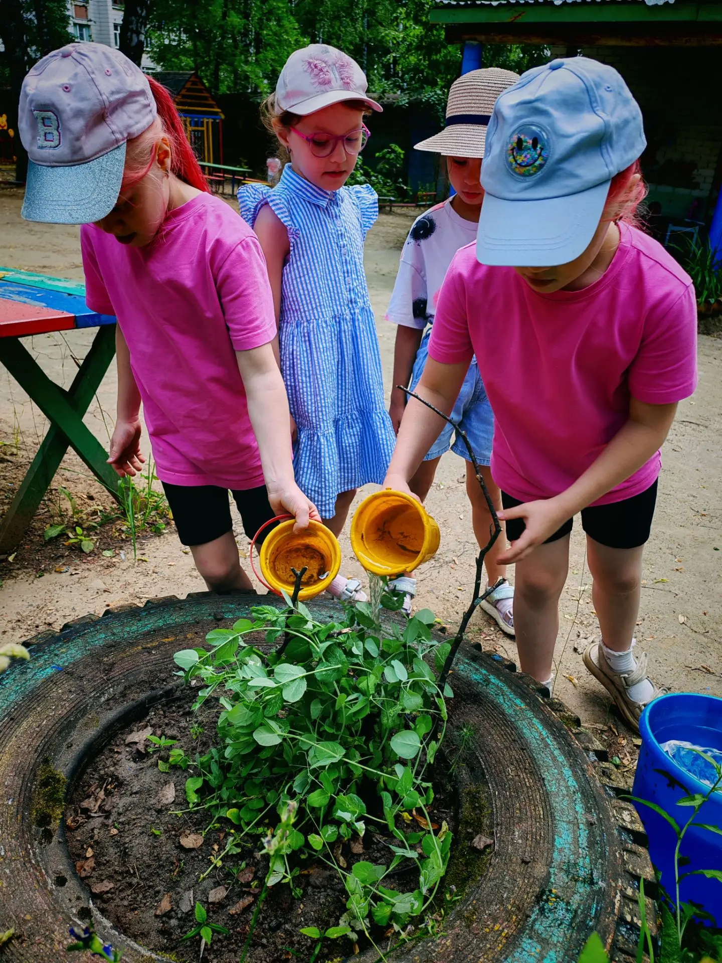 🌱 Снова в деле: наши маленькие садоводы вернулись из отпуска!

После весёлых каникул ребята подгото