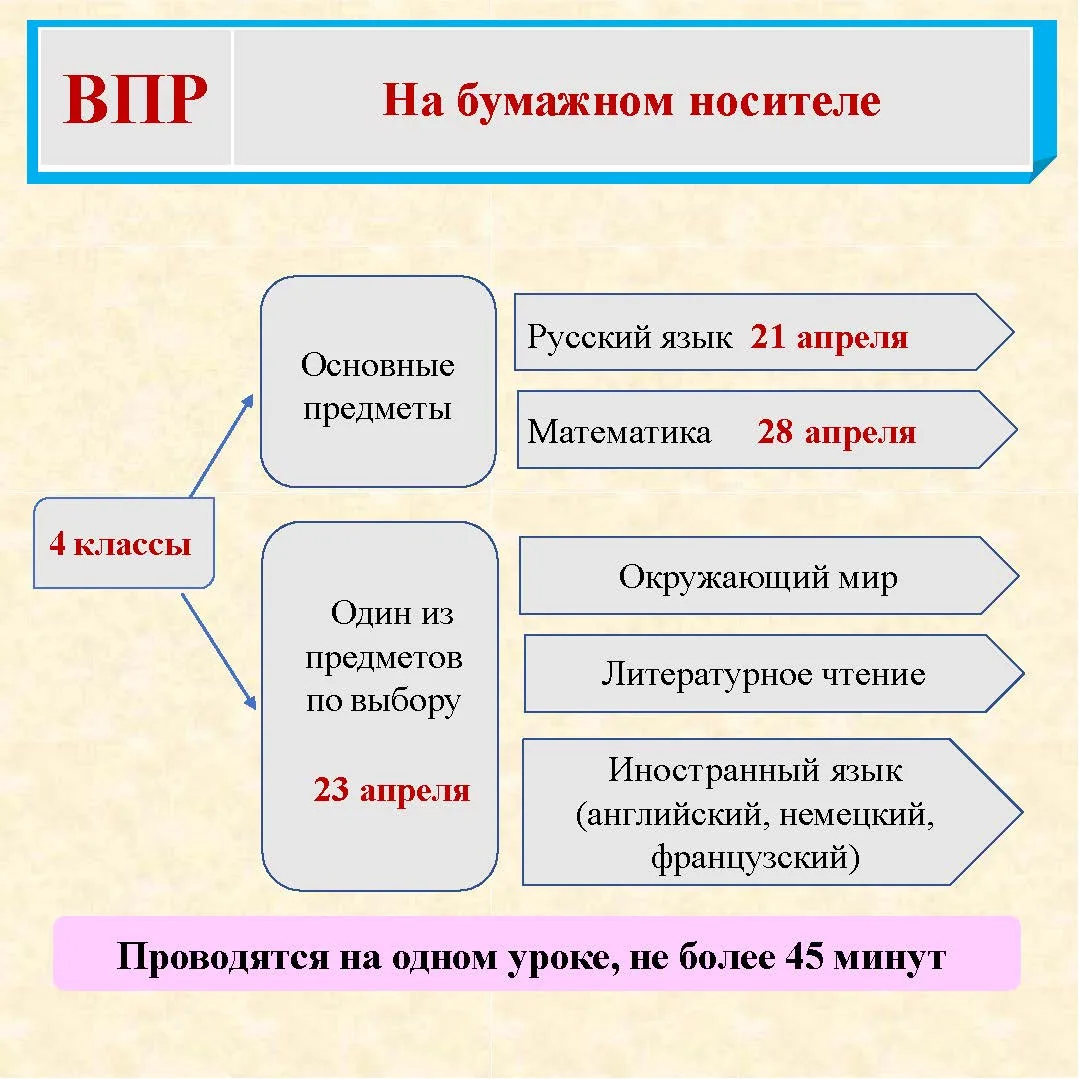 Скоро ВПР! Знакомимся с расписанием 🗓️