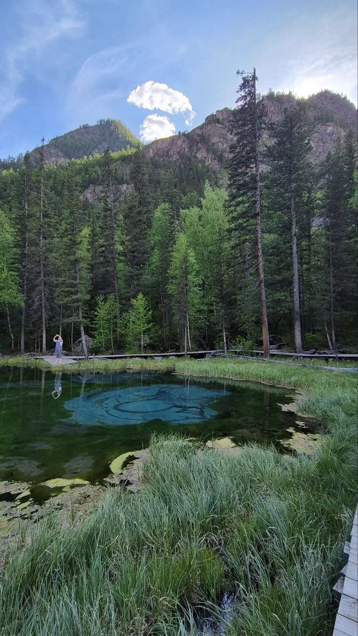 🏞️Запах альпийских лугов с целебными травами и чистейший воздух, журчание Катуни и шти...