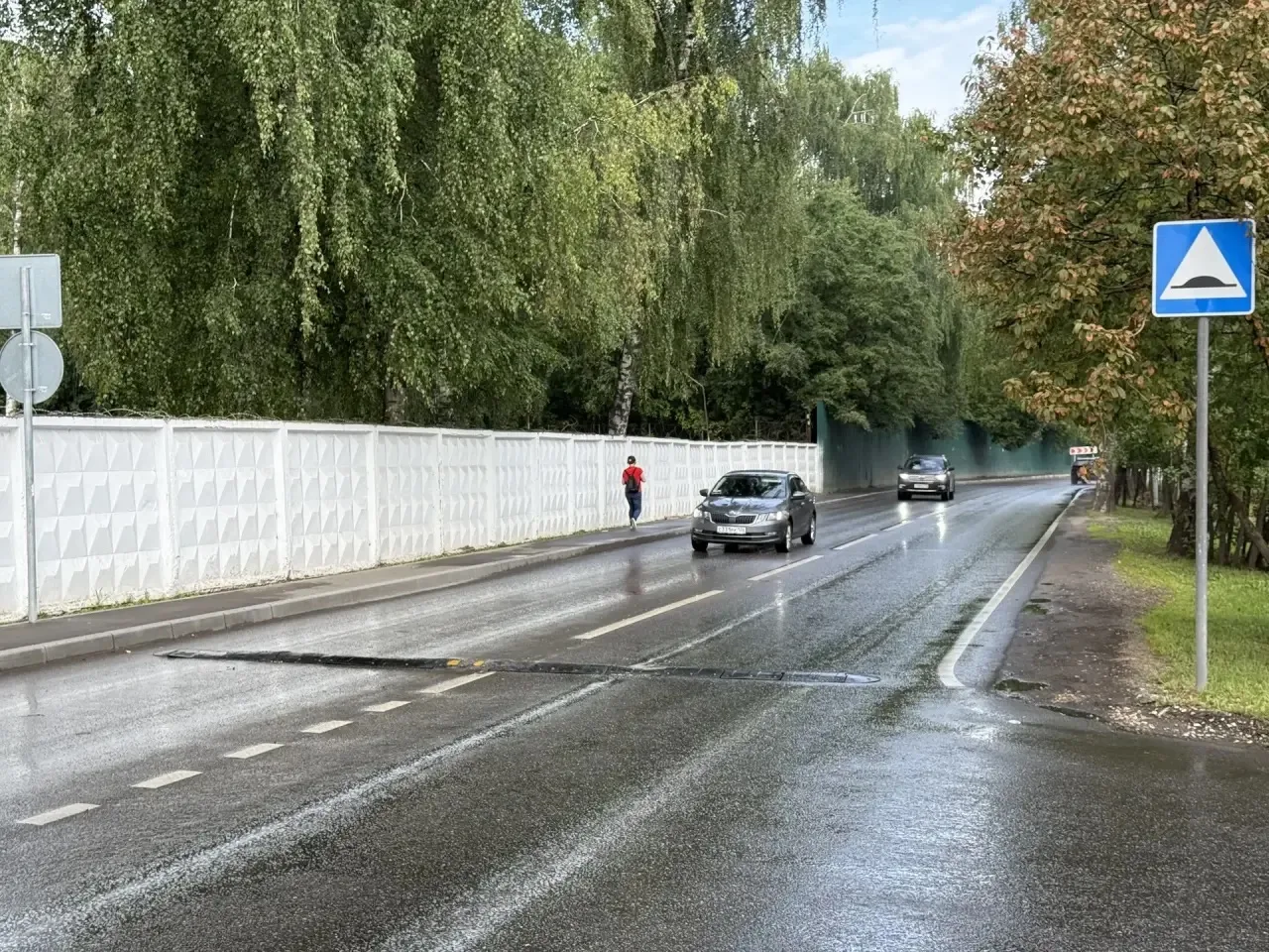 🚥 Свыше 60 проектов по защите пешеходов реализовали в ТиНАО в 2026 году

Окружная комиссия по безоп