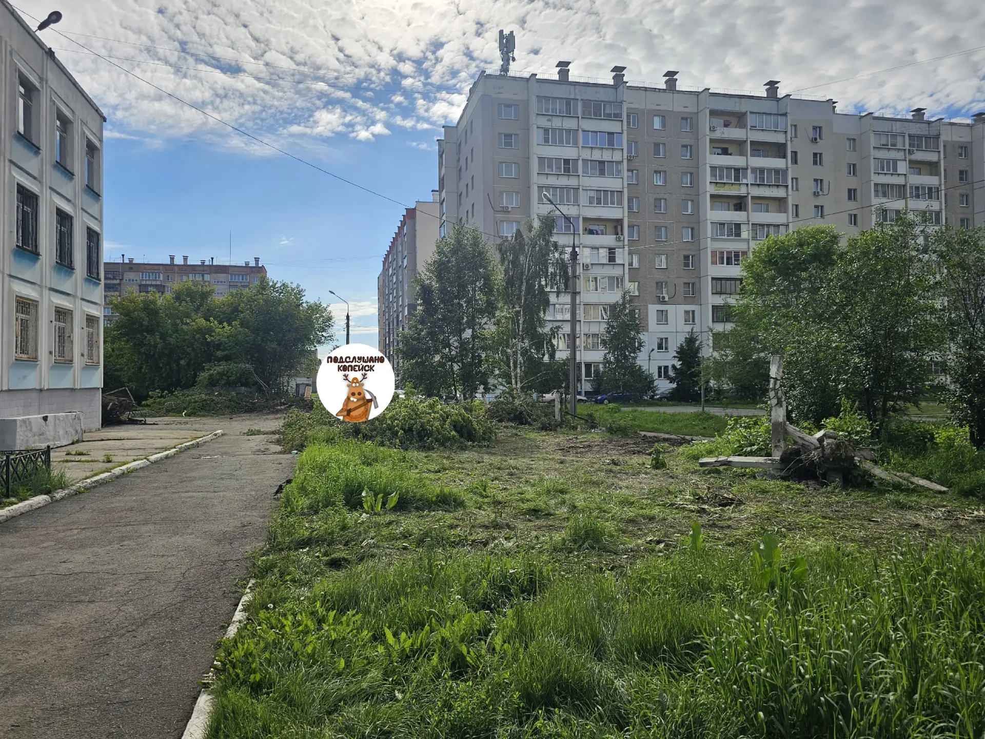 У школы №7 в Копейске снесли забор и вырубили деревья. Очередное благоустройство в горо...