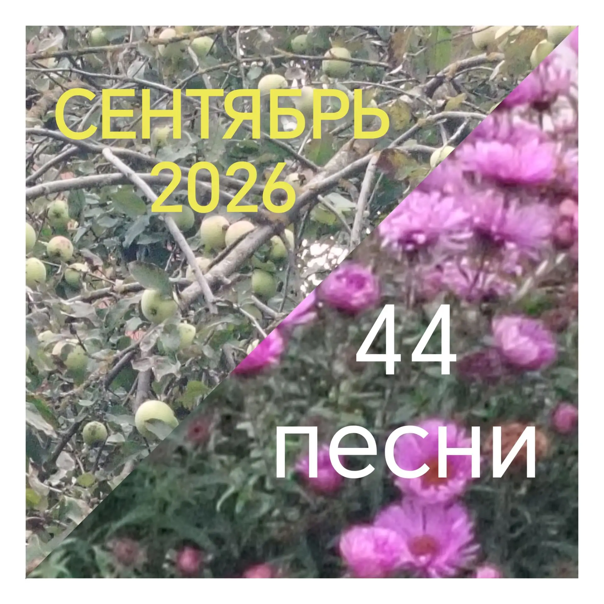 Итог таков: сорок четыре