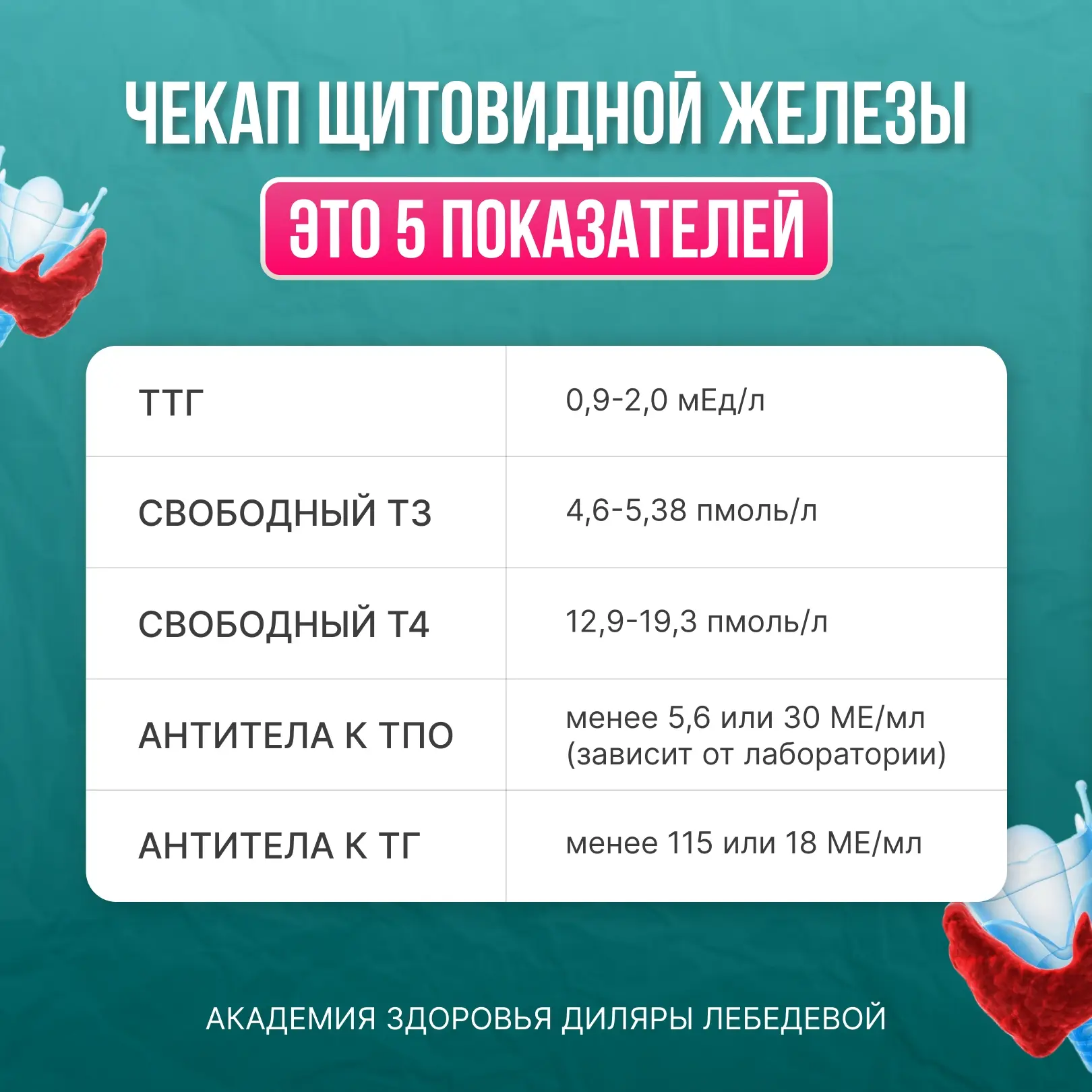 ПОЛНЫЙ ЧЕК-АП щитовидной железы  Давайте по полочкам разложу, какие обследования нужно делать, чтобы