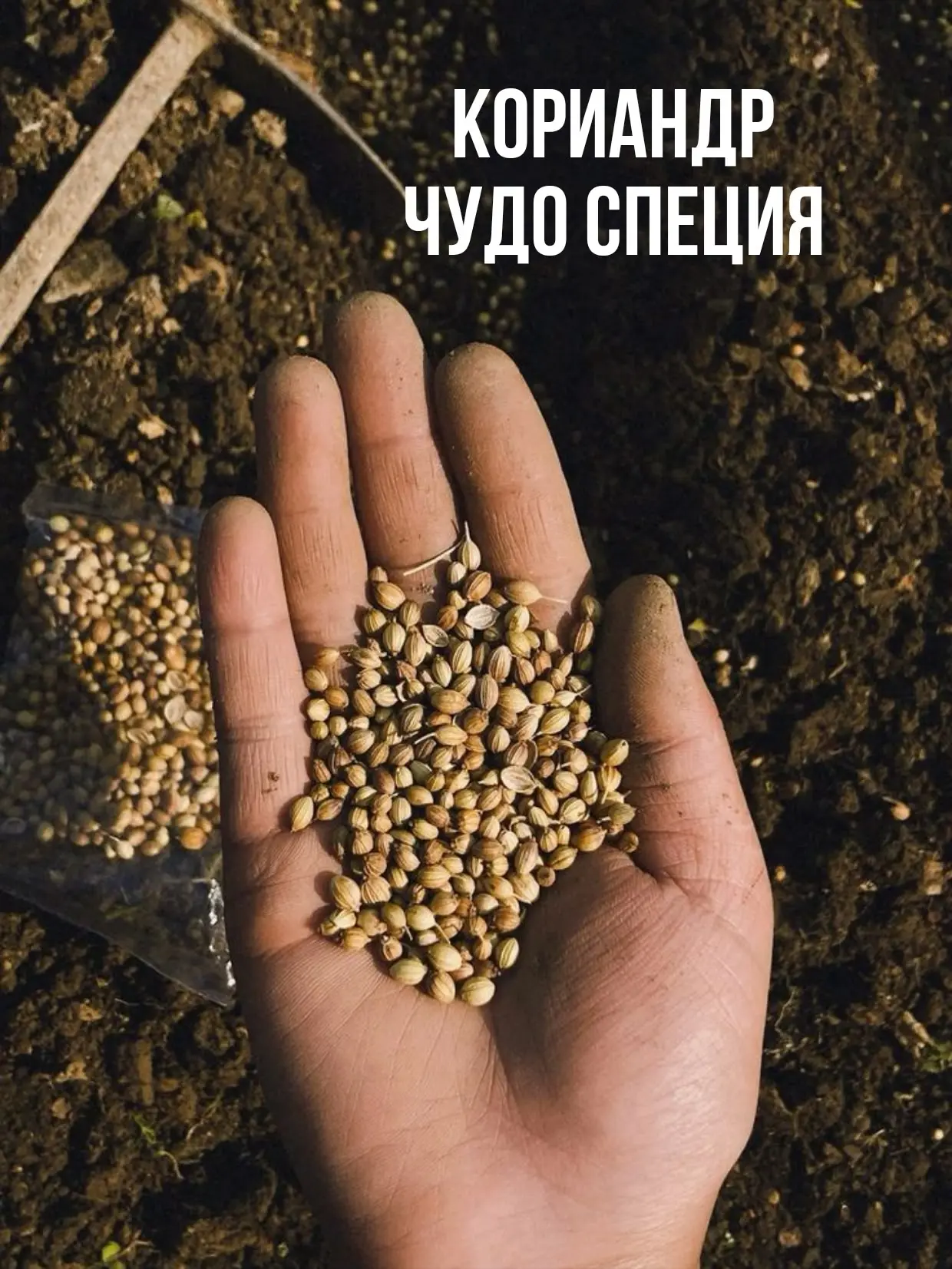СПЕЦИЯ ДЛЯ БАЛАНСА ВСЕХ ЭНЕРГИЙ
