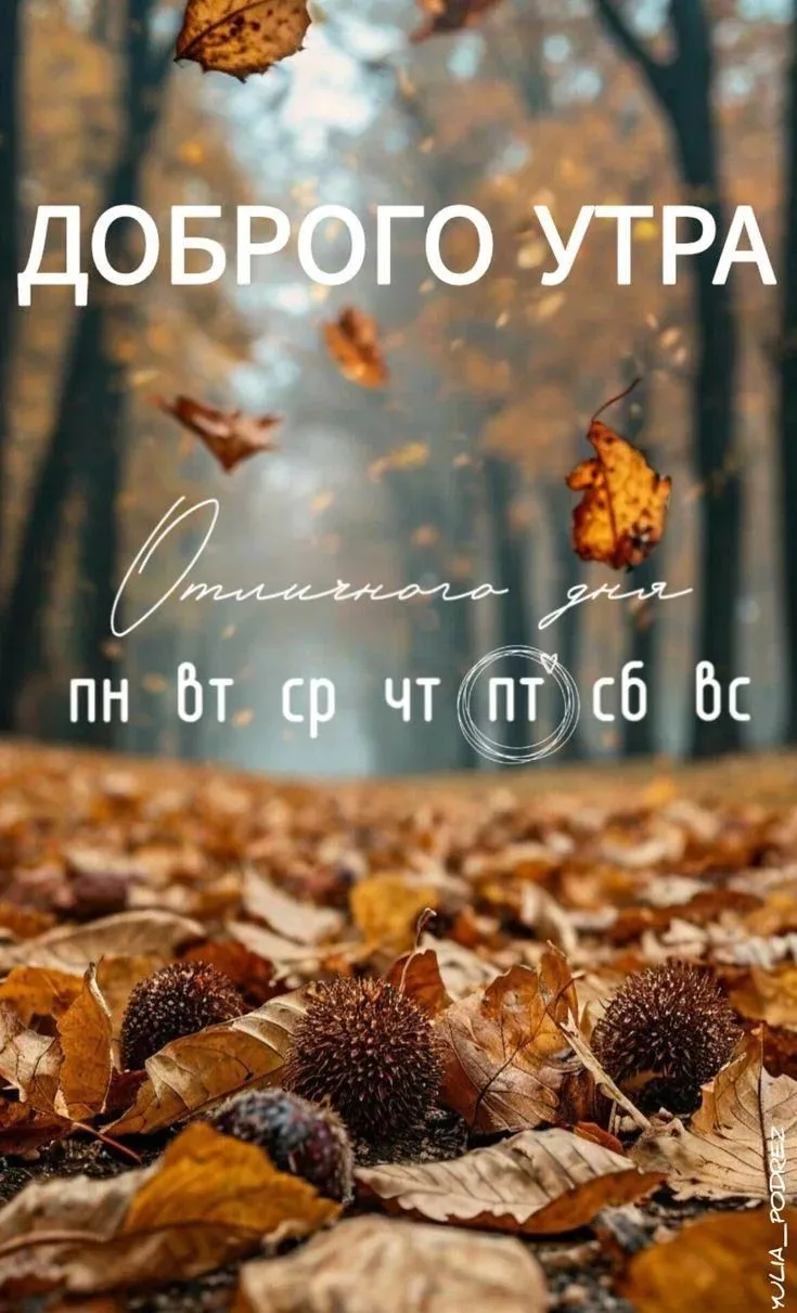 🍂 Пятница и осень — идеальное комбо! 🍁