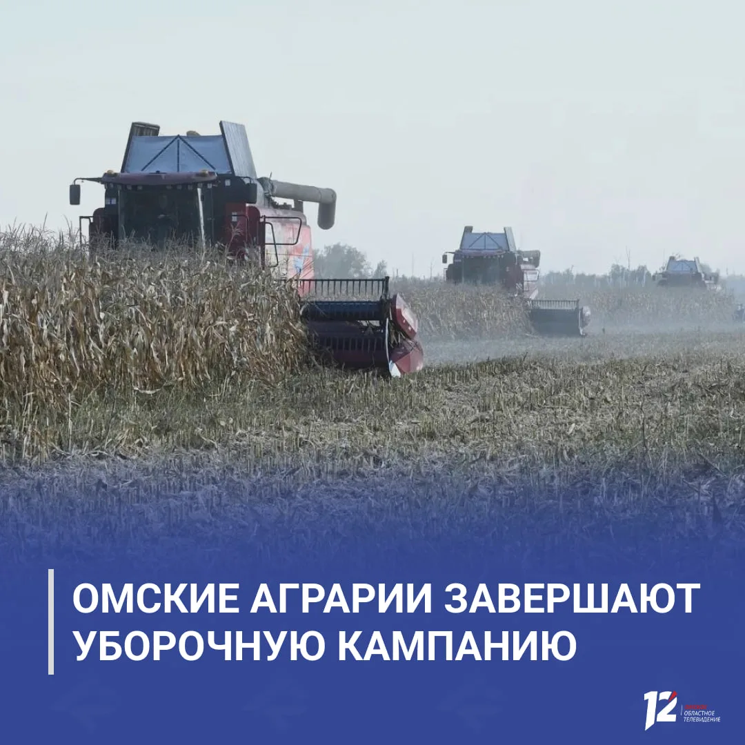 🌾 Омские аграрии завершают уборочную кампанию
