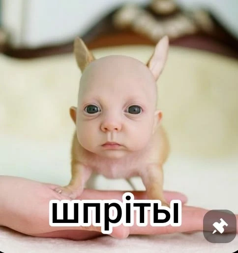 💬 У тебя новое сообщение!