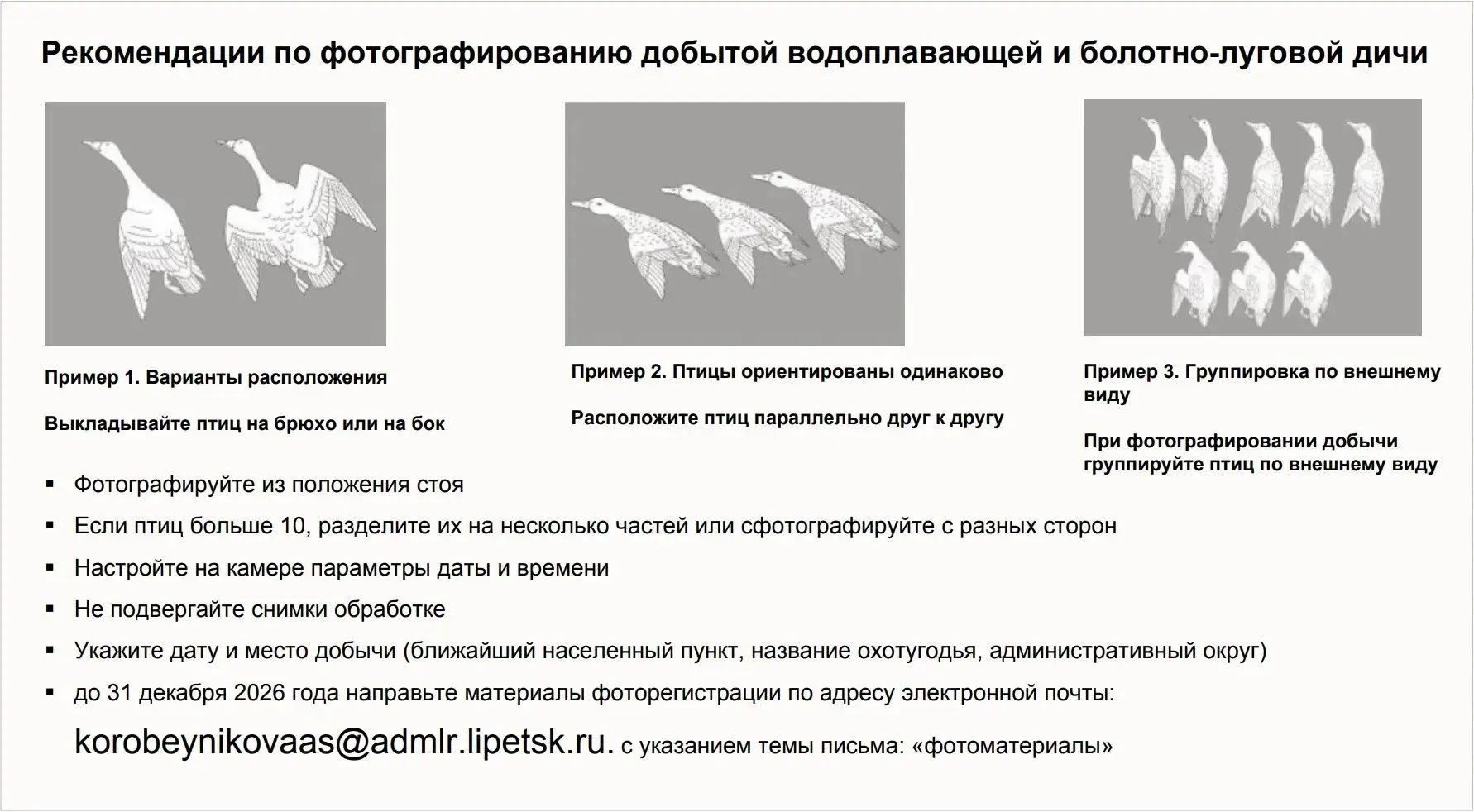 📸 Зачем фотографировать добытую дичь?