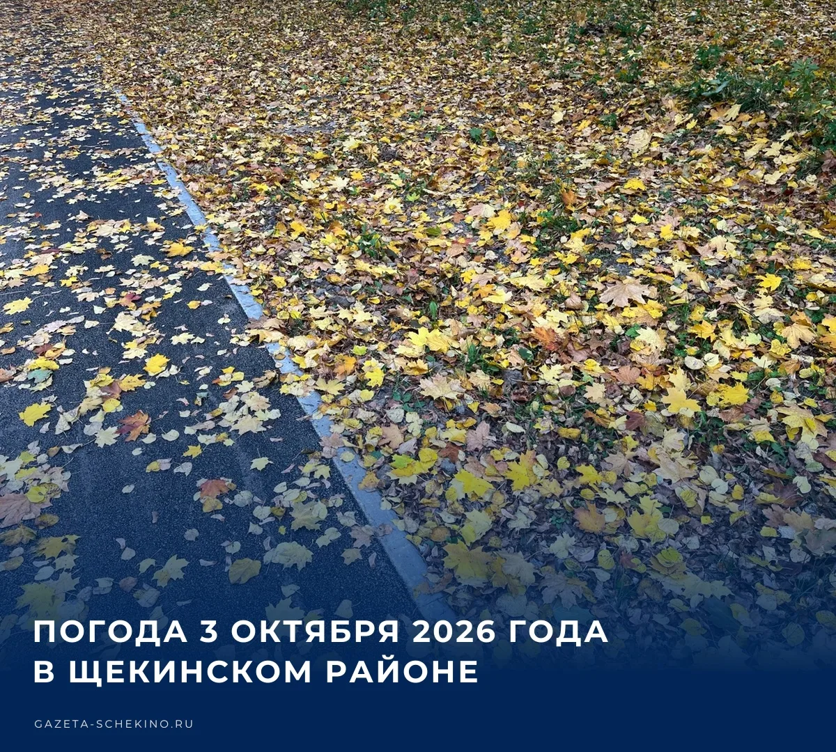 ☀️ Сегодня, 3 октября, температура воздуха днем в Щекинском районе поднимется до отметк...