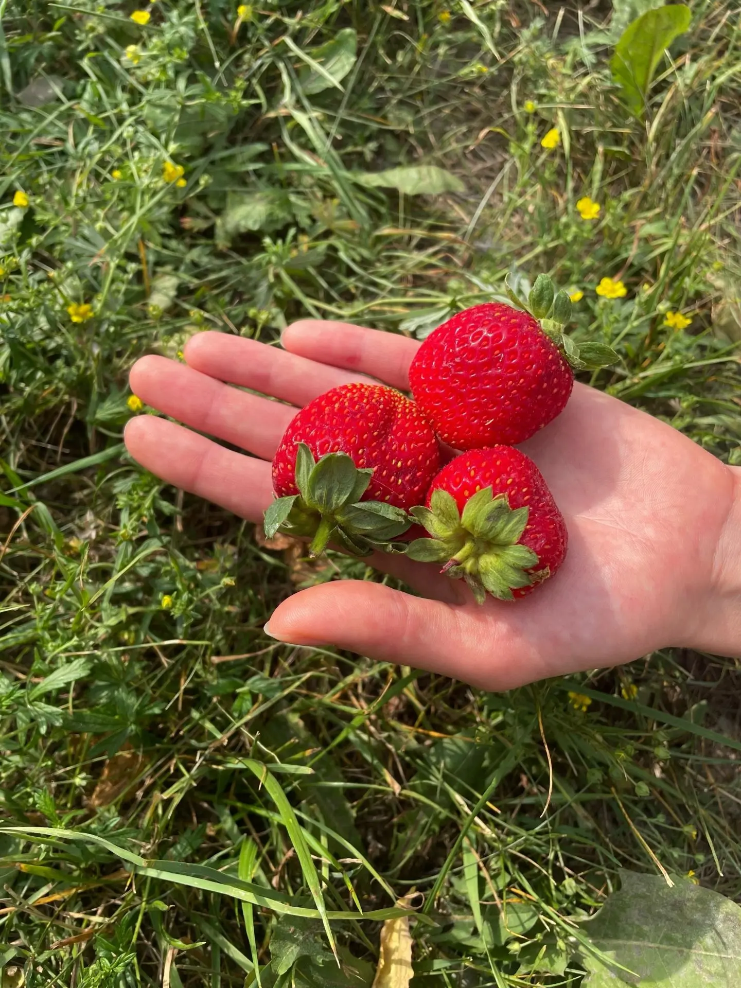 Доброе утро!☀