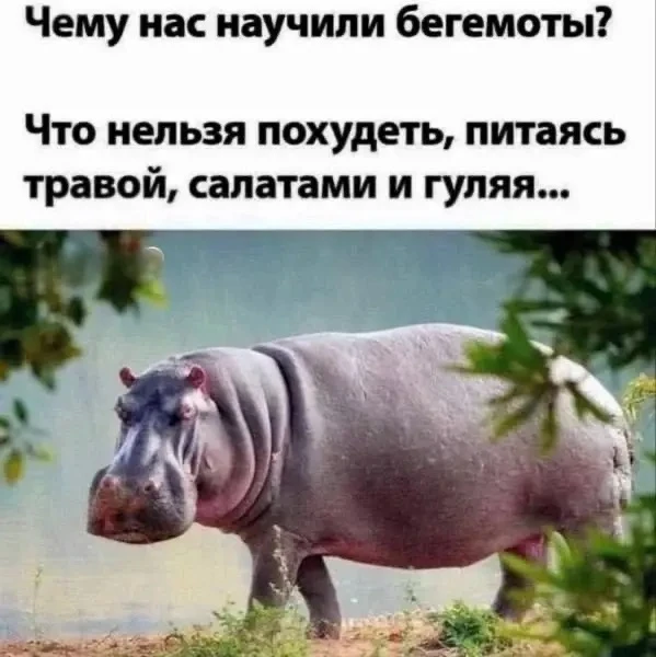 Пенсионеры онлайн ✅