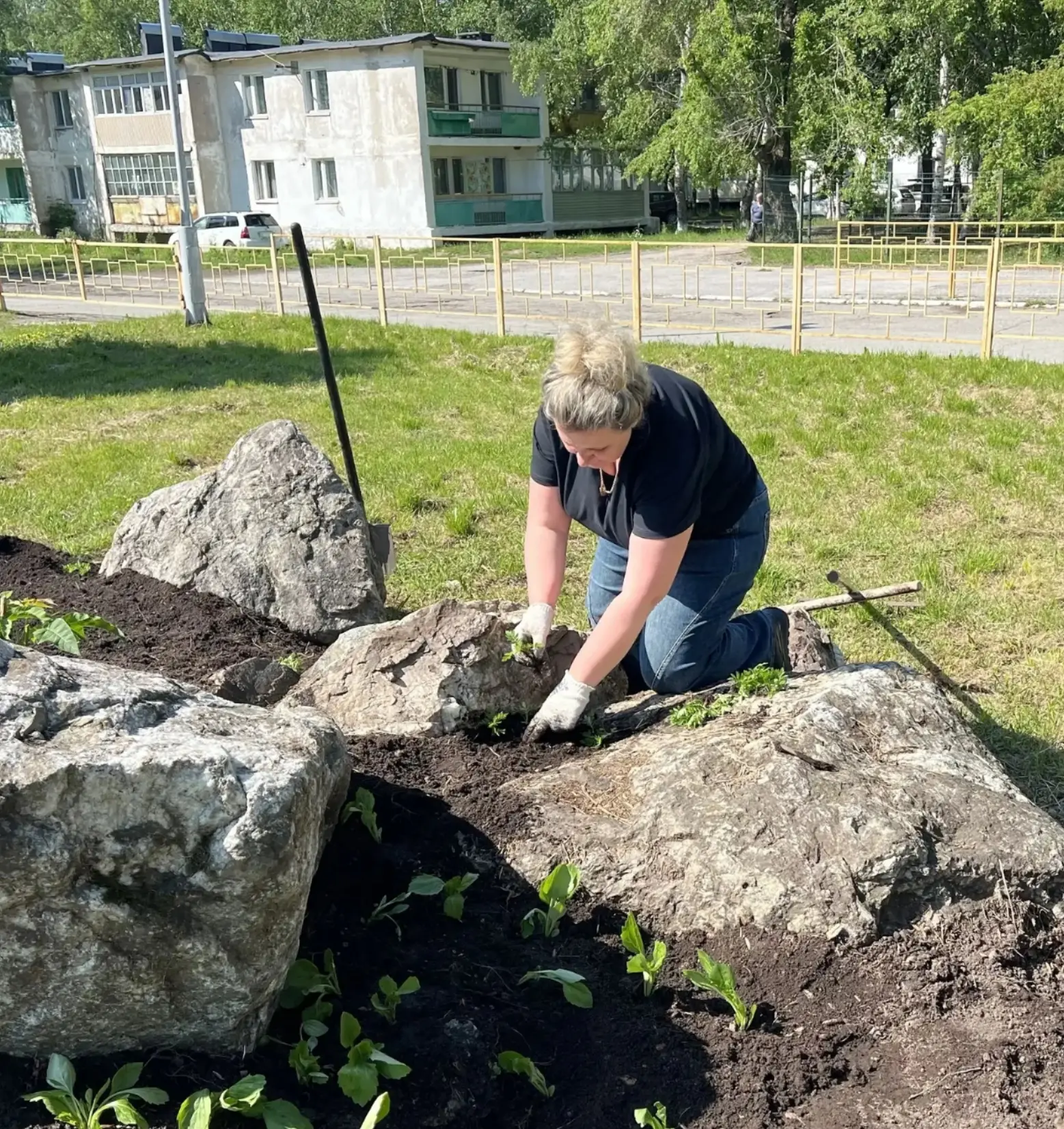 🌿 Трудовая практика в деле! 🌿

Наши ребята вместе с Людмилой Александровной учителем техпродолжают