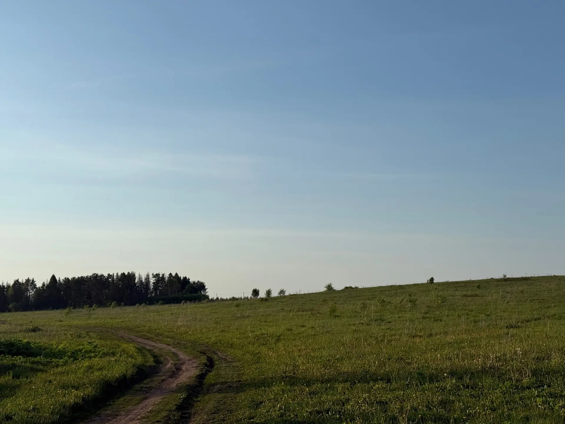 Что это за красивое место? 🌿 Это новый коттеджный поселок ,где уже стартовали продажи.