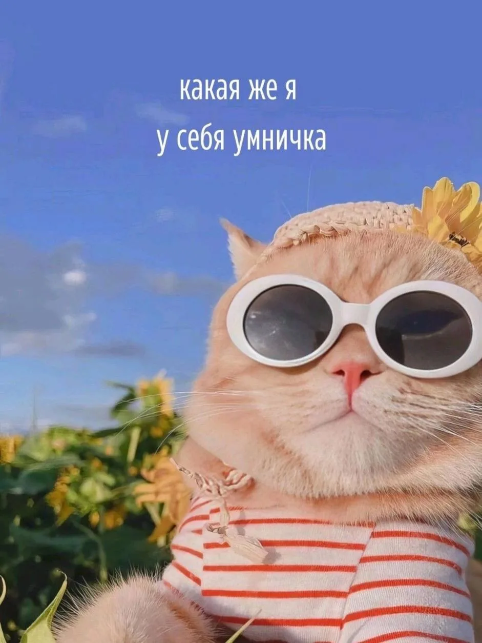 🔮 И хочу поделиться с вами одним стихотворением…

Потому что оно идеально описывает то состояние, в