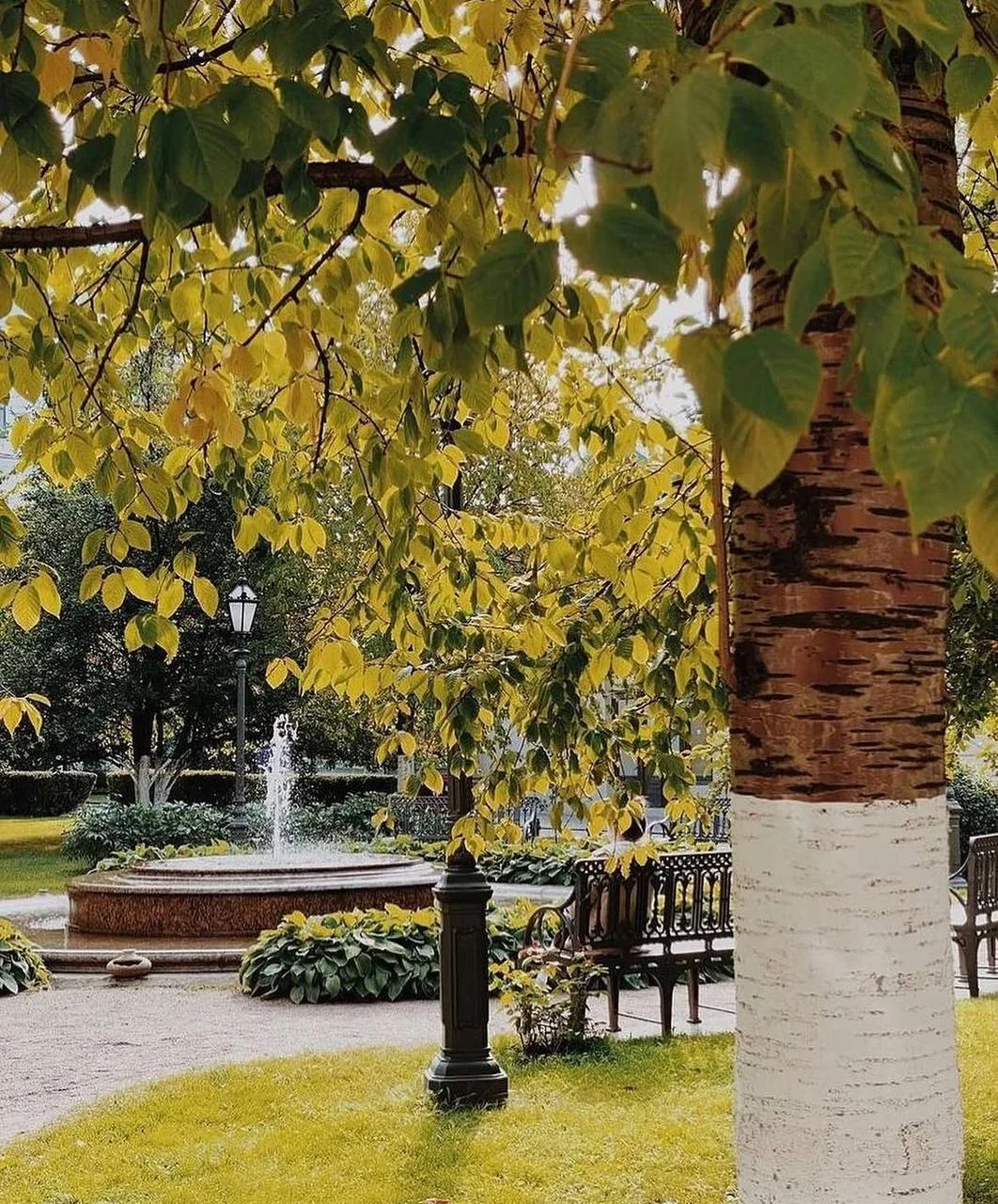 🌳 Тайный сад Мариинского дворца открывает двери  Редкая возможность попасть в обычно закрытое простр