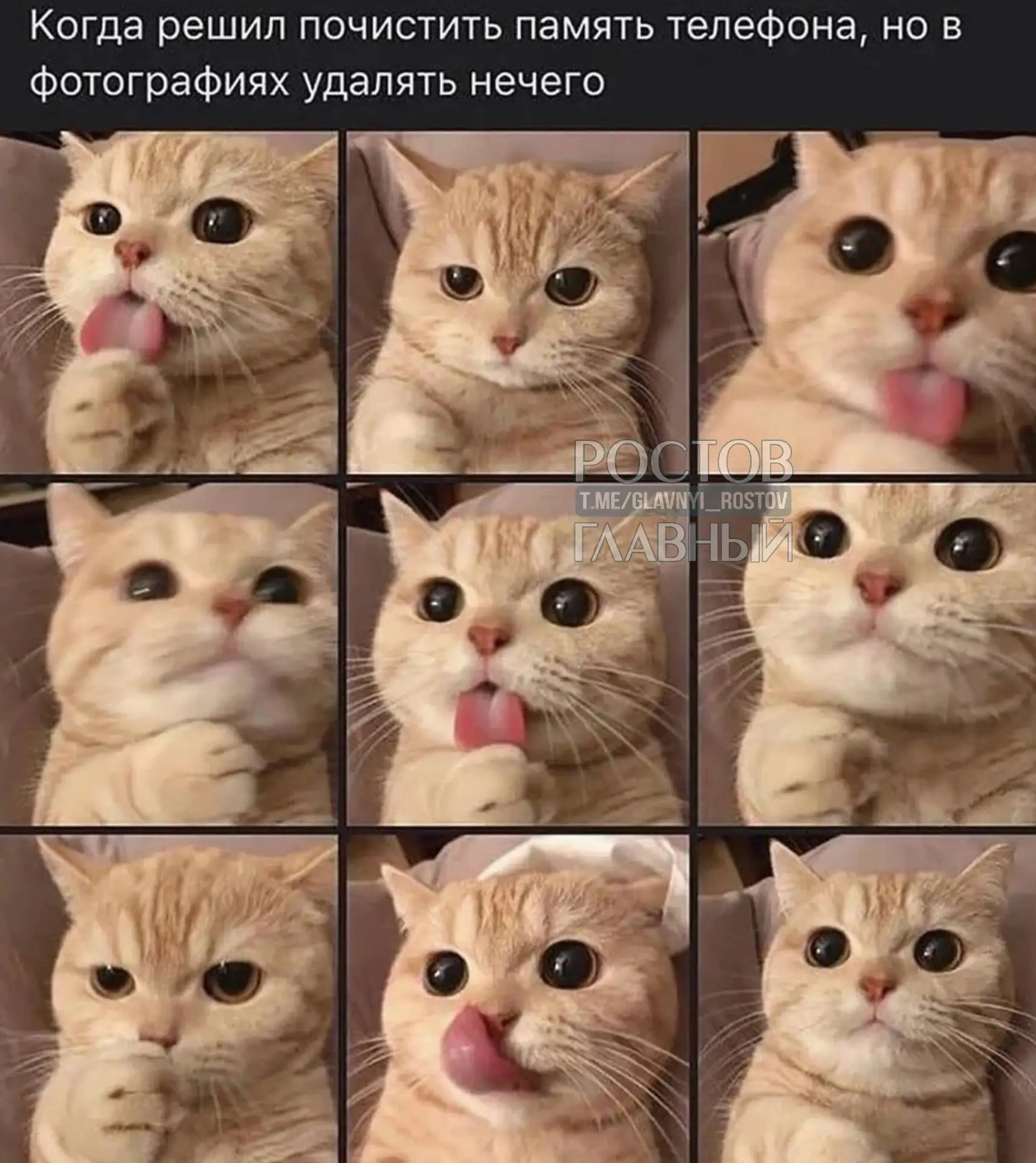 🤷‍♂️

@glavnyi_rostov — Ростов Главный в Мах
🗨Комментарии в чате