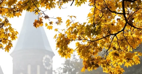 🍂 Бабье лето в Калининградской области: тёплые дни продлятся почти до октября! 🍂