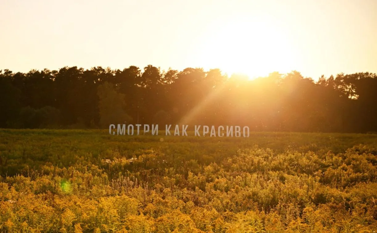 Арт-объект «Смотри как красиво» переехал на «Дикую Мяту»