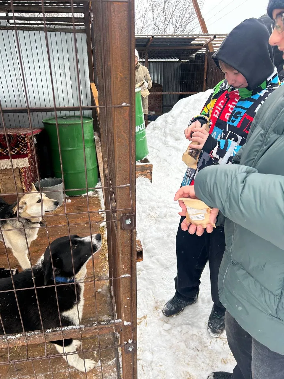 🐾 Добрые дела согревают ❤️  Наш 7А класс решил доказать, что мы в ответе за тех, кого приручили, и о